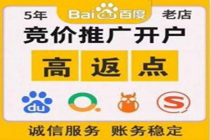 提升转化率：SEM竞价专员的案例研究